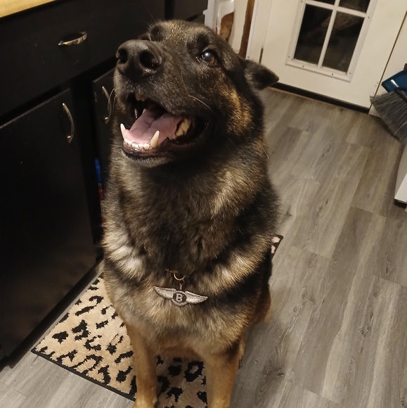 Unlisted Items for LIVE shows - Picture 11 of 11